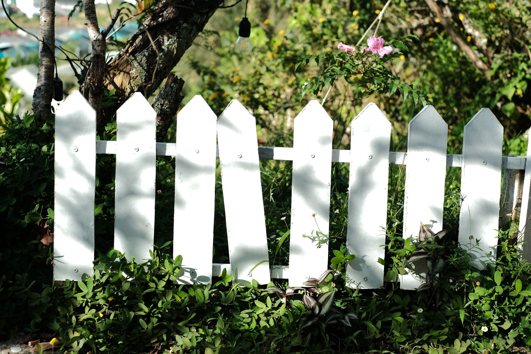 Fences and gates